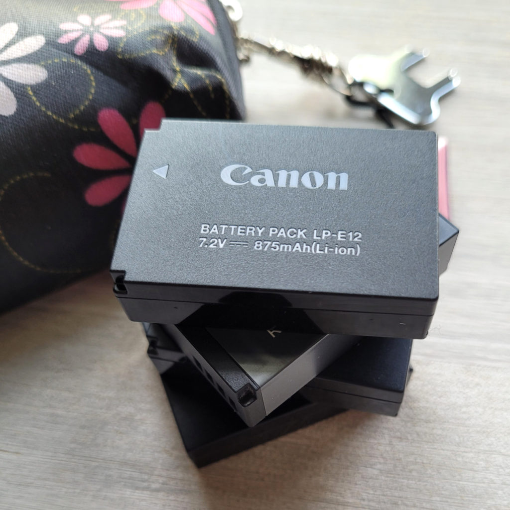 What’s Inside My Camera Bag While Travelling -canon batteries