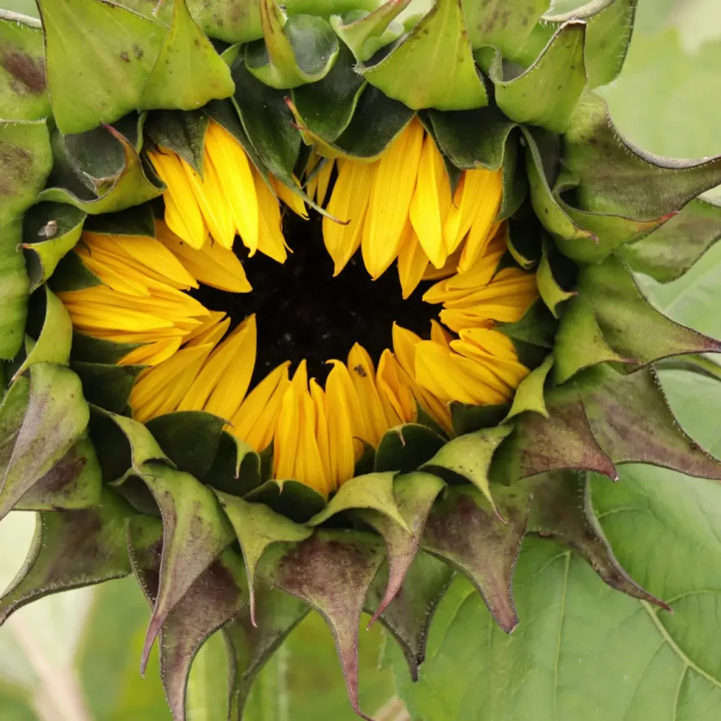 How To Improve Your Travels Photos!!