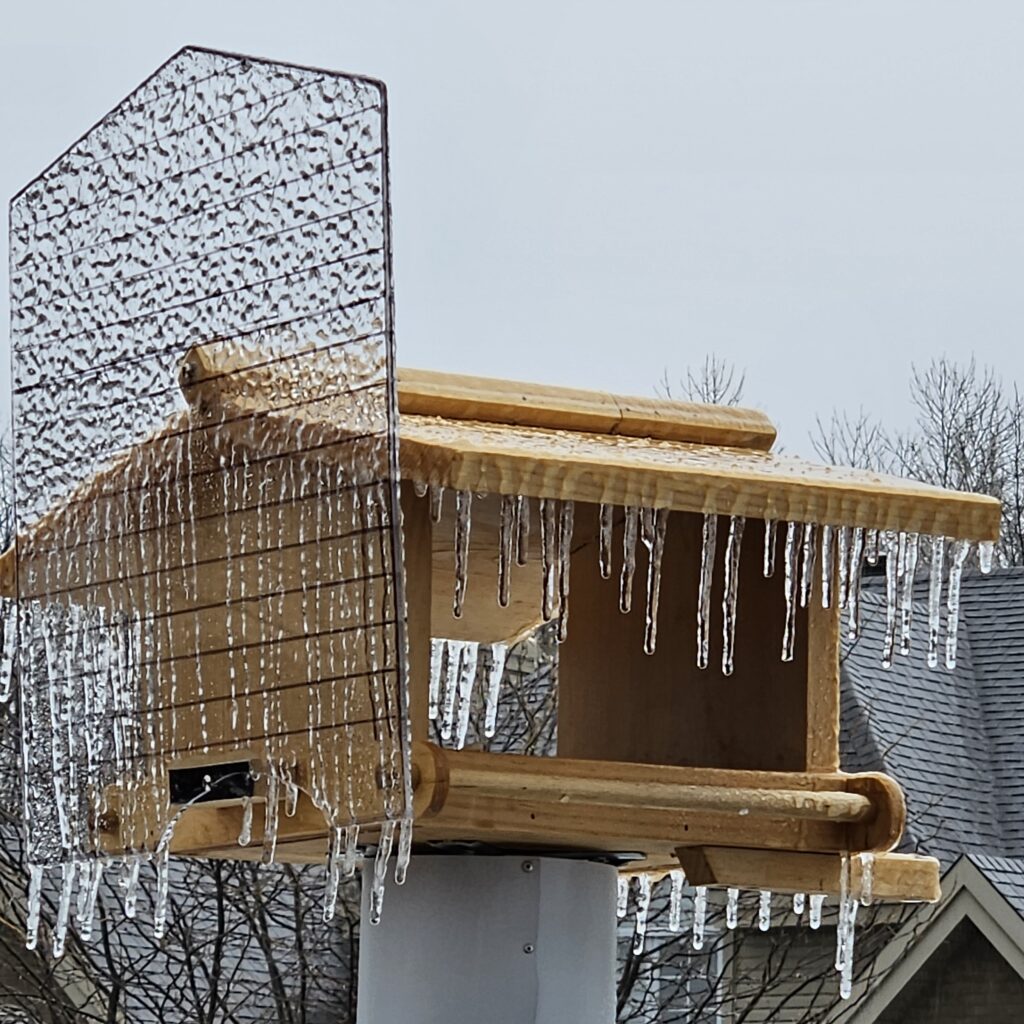 birds could not go inside their house