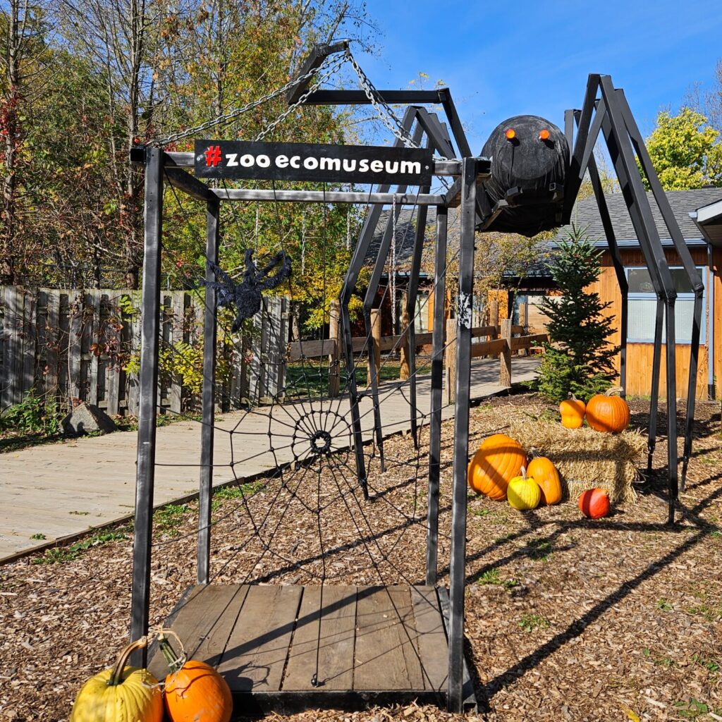 entance to Ecomuseum for Halloween