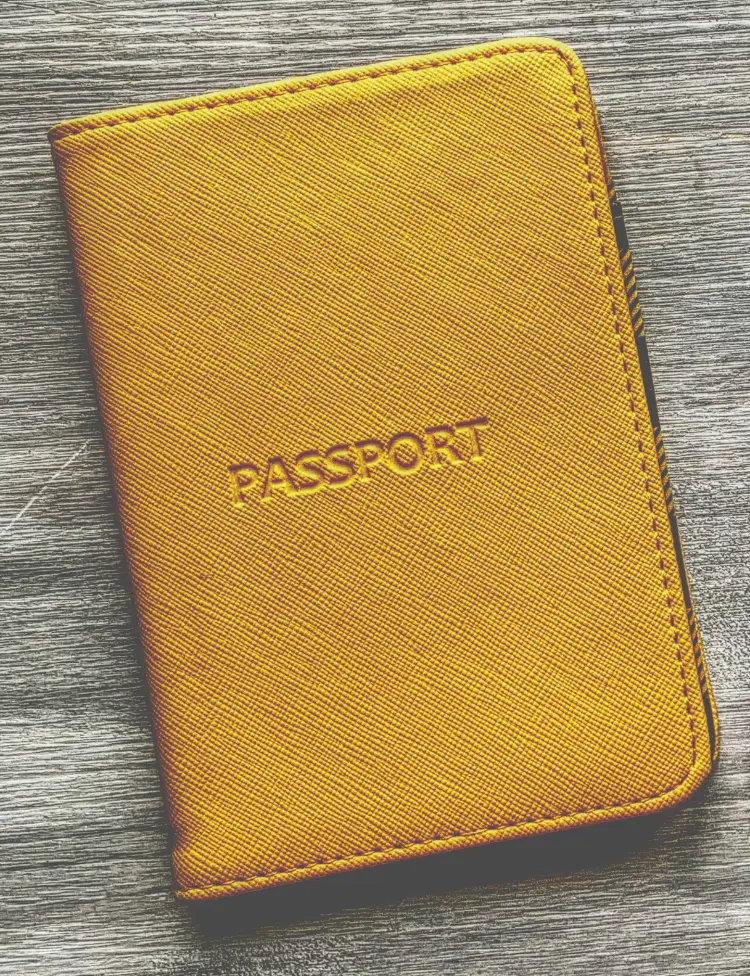 yellow passport sleeve