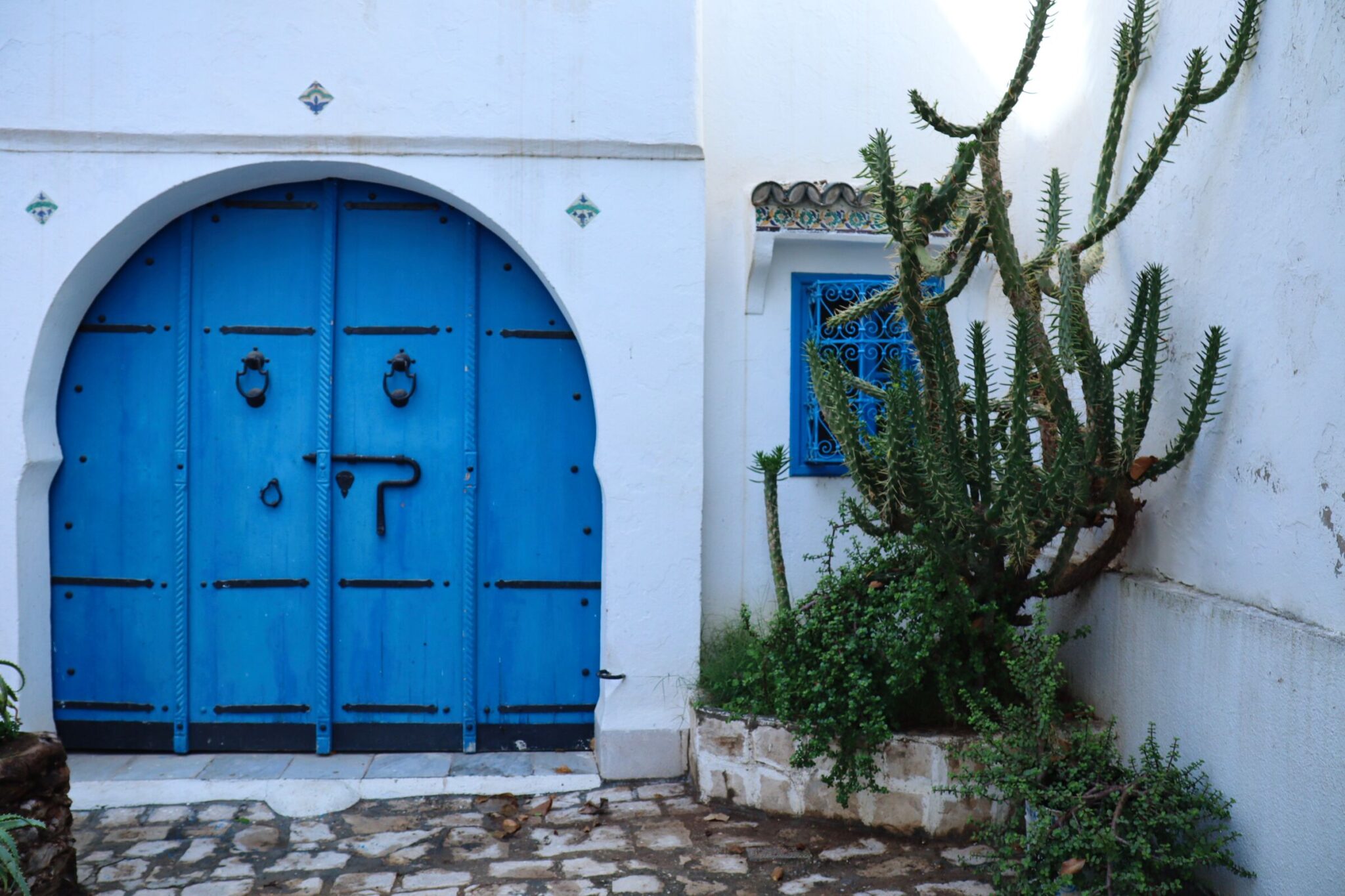 Best Things to Do in La Goulette. Tunisia