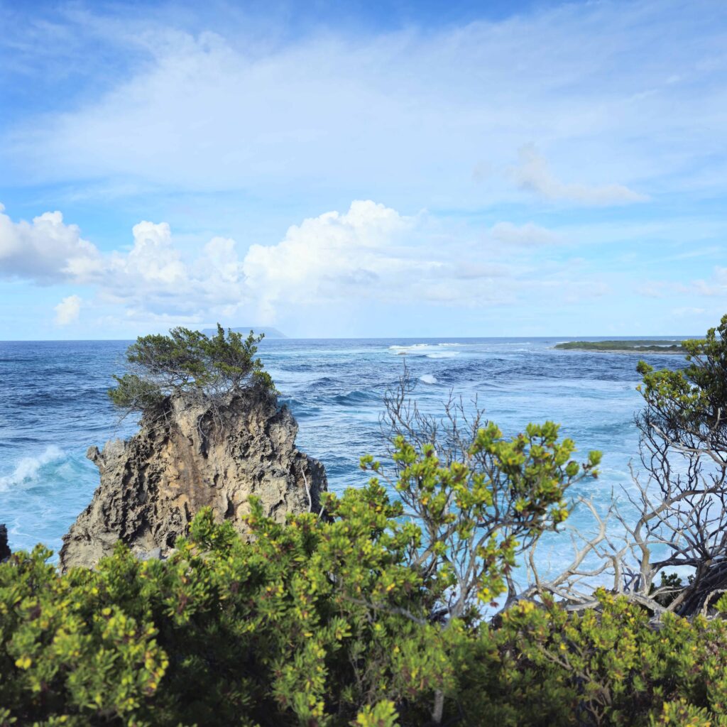 ocean view