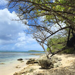 guadaloupe-beach